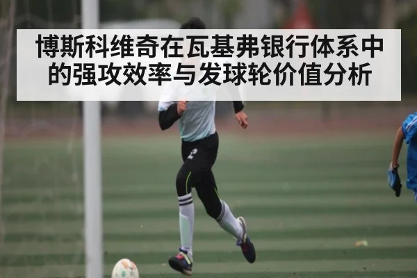博斯科维奇在瓦基弗银行体系中的强攻效率与发球轮价值分析（ng28）
